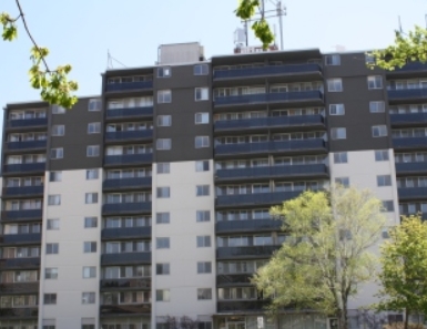 Avenue Apartments in Waterloo, ON - Building Photo