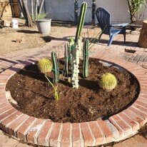 1548 E 9th St in Tucson, AZ - Building Photo