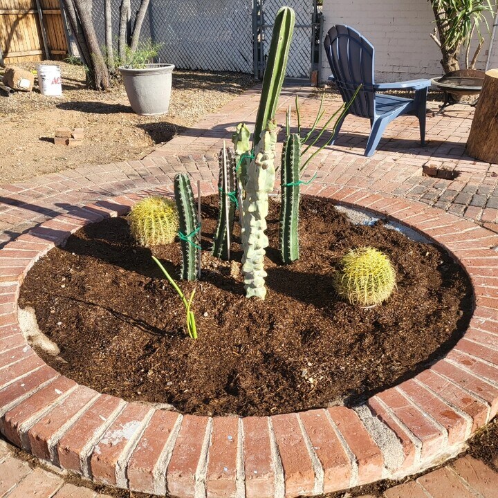 1548 E 9th St in Tucson, AZ - Building Photo