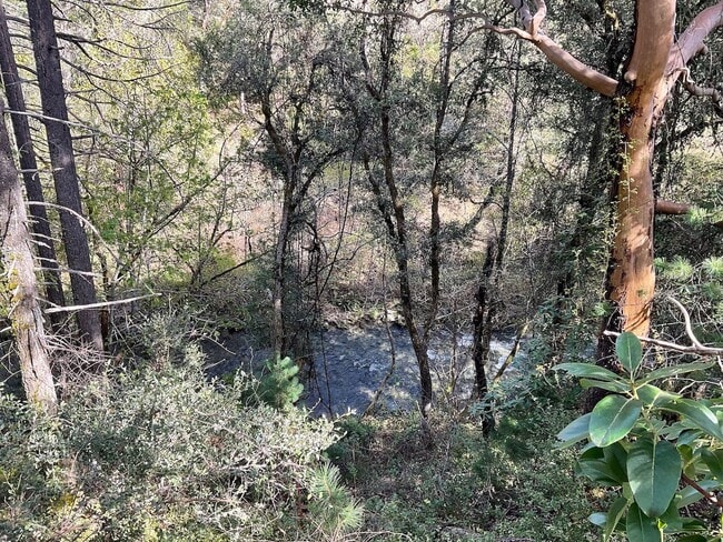 439 Canyon Oak Dr in Grants Pass, OR - Building Photo - Building Photo