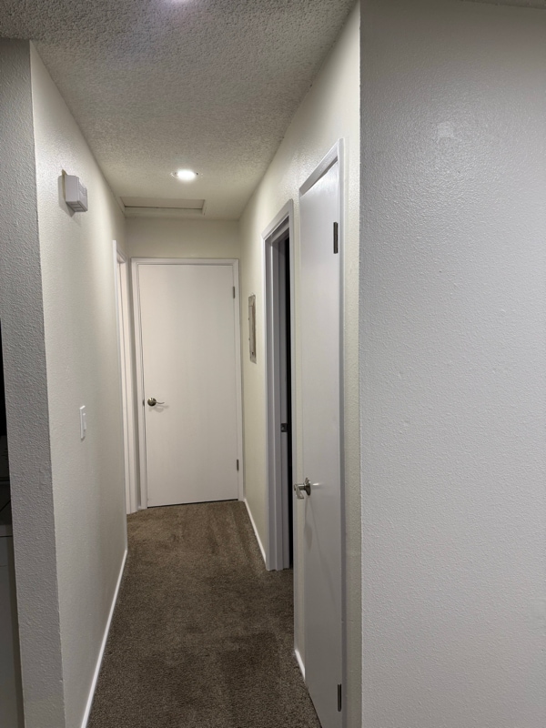 10401 66th Ave E in South Hill, WA - Foto de edificio - Building Photo