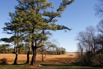 151 Argilla Rd in Ipswich, MA - Building Photo - Building Photo