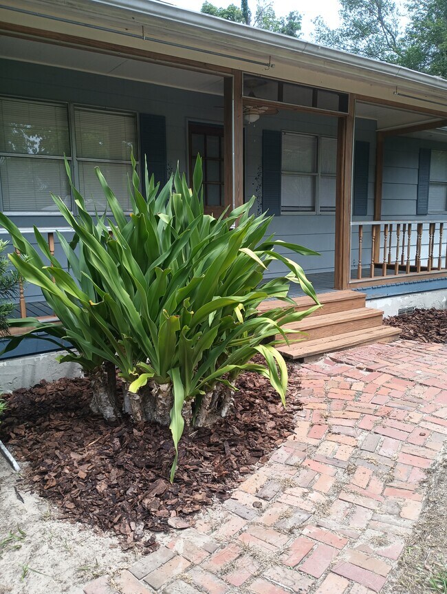 460 Paradise Ln in Bronson, FL - Building Photo - Building Photo