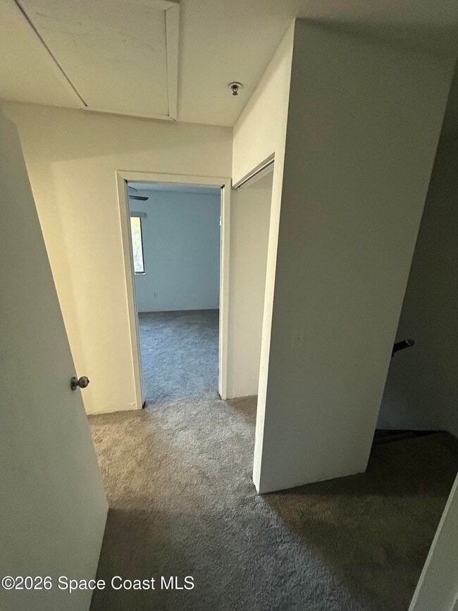 7801 Maplewood Dr in Melbourne, FL - Foto de edificio - Building Photo