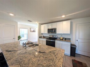 16546 Mosaic Oar Dr in Wimauma, FL - Building Photo - Building Photo