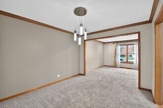 1163 Shoreline Dr in Aurora, IL - Foto de edificio - Building Photo