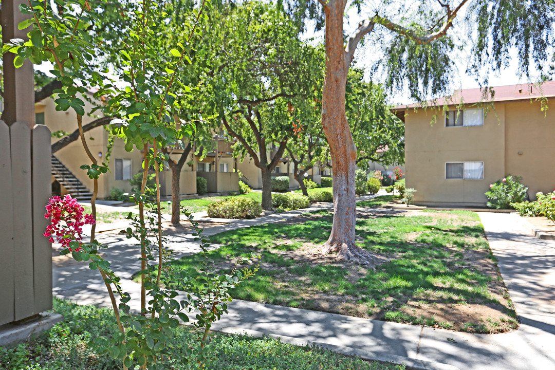 Briarwood Apartments in Clovis, CA - Foto de edificio