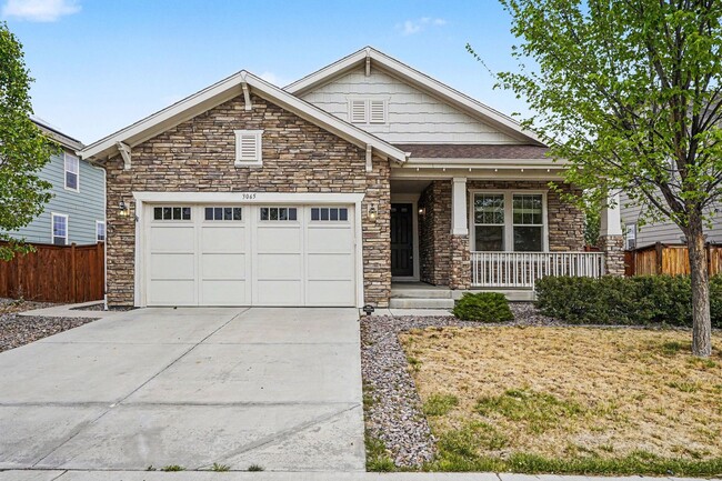 3065 E 159th Way in Thornton, CO - Building Photo - Building Photo