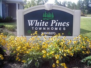 White Pines - Harrison in Harrison, MI - Building Photo - Building Photo