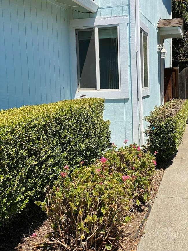 17280 Markross Ct in Morgan Hill, CA - Building Photo - Building Photo