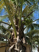 662 NE 132nd St, Unit Beautiful 3 Bed 2 Bath in North Miami, FL - Foto de edificio - Building Photo