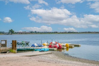 381 Buffalo Dr in Windsor, CO - Foto de edificio - Building Photo