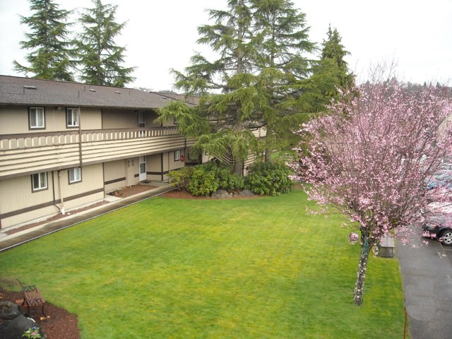 Raymond House in Raymond, WA - Building Photo