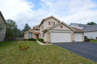 519 Indian Ridge Trail in Wauconda, IL - Building Photo