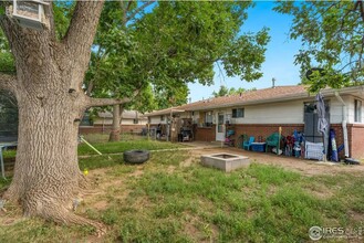 1108 McHugh St in Fort Collins, CO - Building Photo - Building Photo