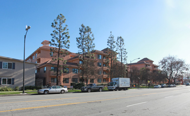 Olive Court Apartments in Burbank, CA - Building Photo - Building Photo