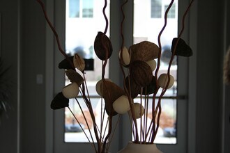 Cottages at Laguna in Sacramento, CA - Building Photo - Building Photo