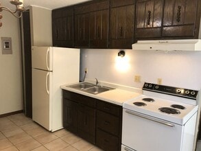 315 Hoyt Ave E in St. Paul, MN - Building Photo - Building Photo
