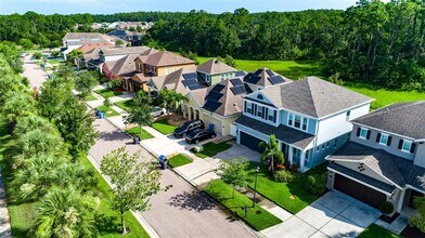 11323 Quiet Forest Dr in Tampa, FL - Building Photo - Building Photo