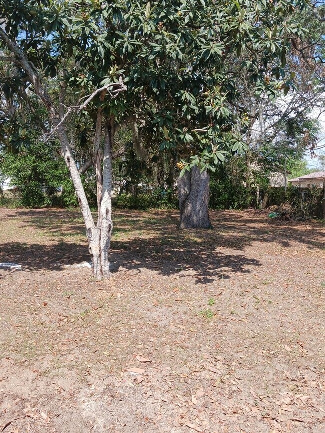 115 E Chesley Ave in Eustis, FL - Foto de edificio - Building Photo