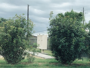 2601 Leary Ln in Victoria, TX - Building Photo - Building Photo