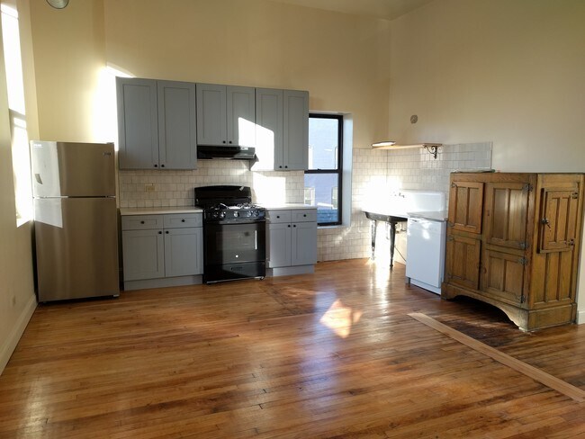 934 W 19th St in Chicago, IL - Building Photo - Building Photo