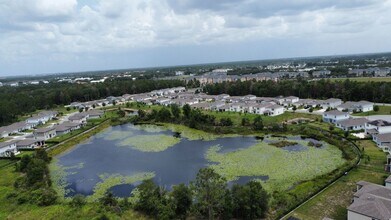 17390 Million Lks Ct in Clermont, FL - Foto de edificio - Building Photo
