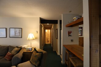 101 Snow's Brook Rd in Waterville Valley, NH - Building Photo - Building Photo