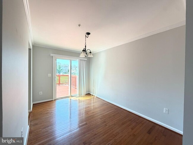 249 Edge Creek Ln in Odenton, MD - Building Photo - Building Photo