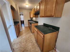 1517 Larchmont Rd in Cleveland, OH - Building Photo - Building Photo