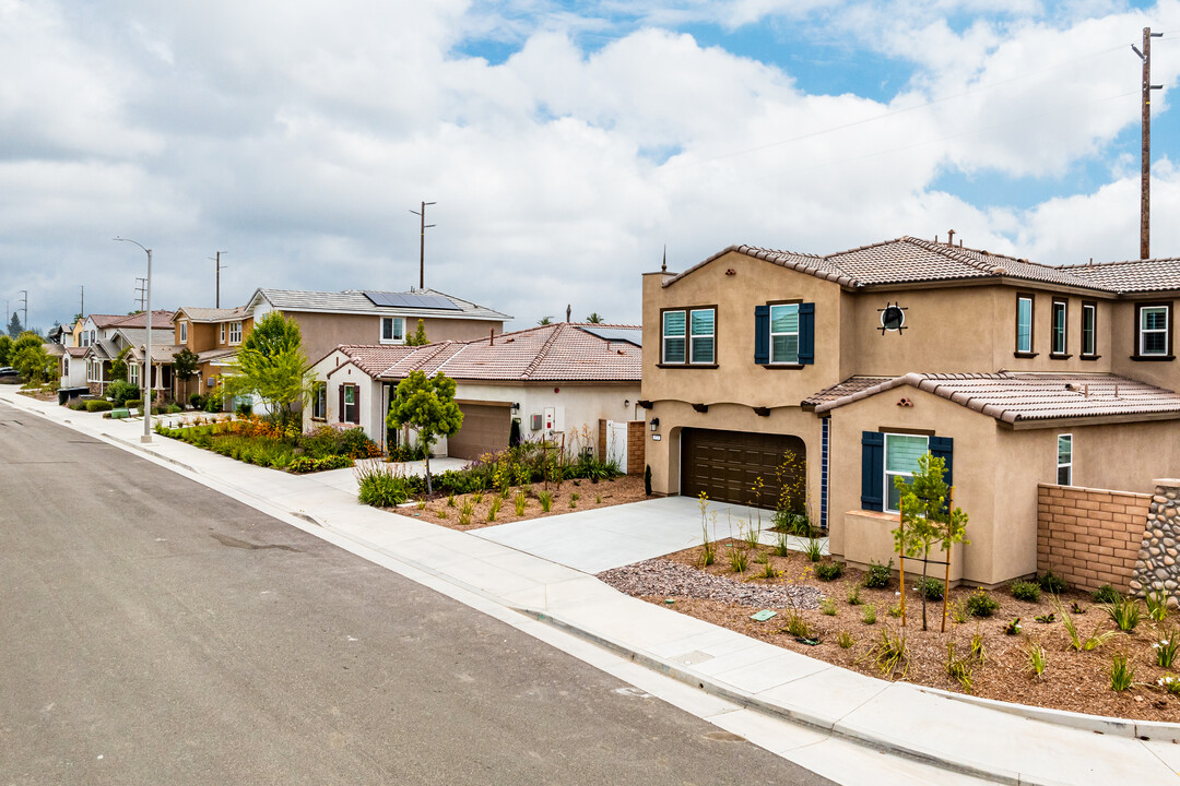 Traditions in Redlands, CA - Building Photo