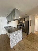 255 NE 14th St, Unit B1 in Miami, FL - Building Photo