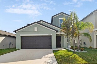 5507 Rainwood Meadows Dr in Ruskin, FL - Building Photo