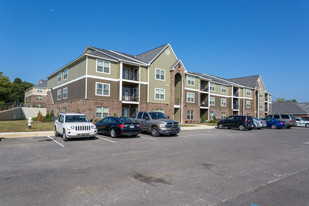 The Grand Reserve in Spring Hill - Phase II Apartments