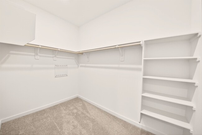 property at 16314 Texas Flatland Wy