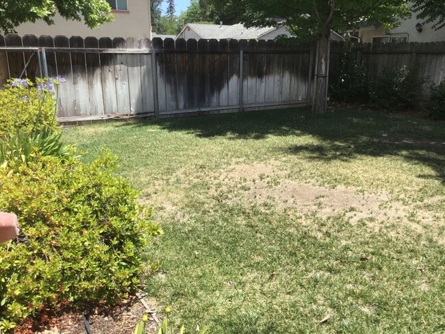 1267 N Cedar St in Chico, CA - Building Photo - Building Photo