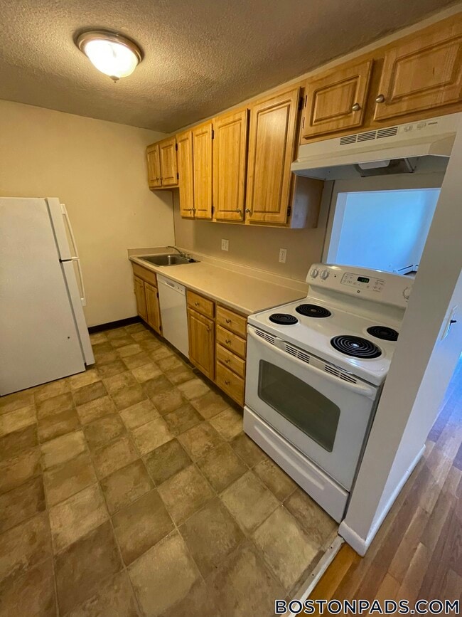 66 Homer Ave in Cambridge, MA - Building Photo - Building Photo