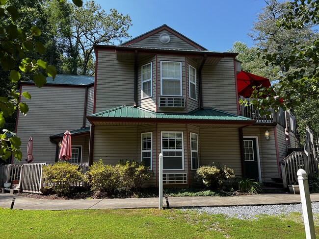 102-103 Resort Ln in Lake Lure, NC - Building Photo - Primary Photo