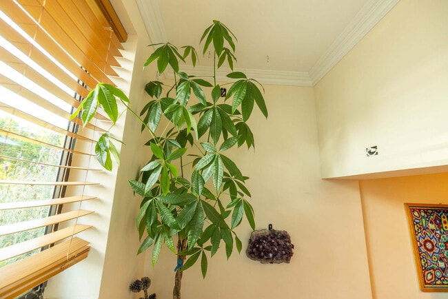 property at 3148 College Ave