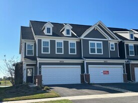 5955 Hawkweed Dr in Naperville, IL - Building Photo