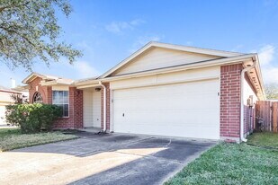 16115 Purpleridge Ct in Houston, TX - Building Photo