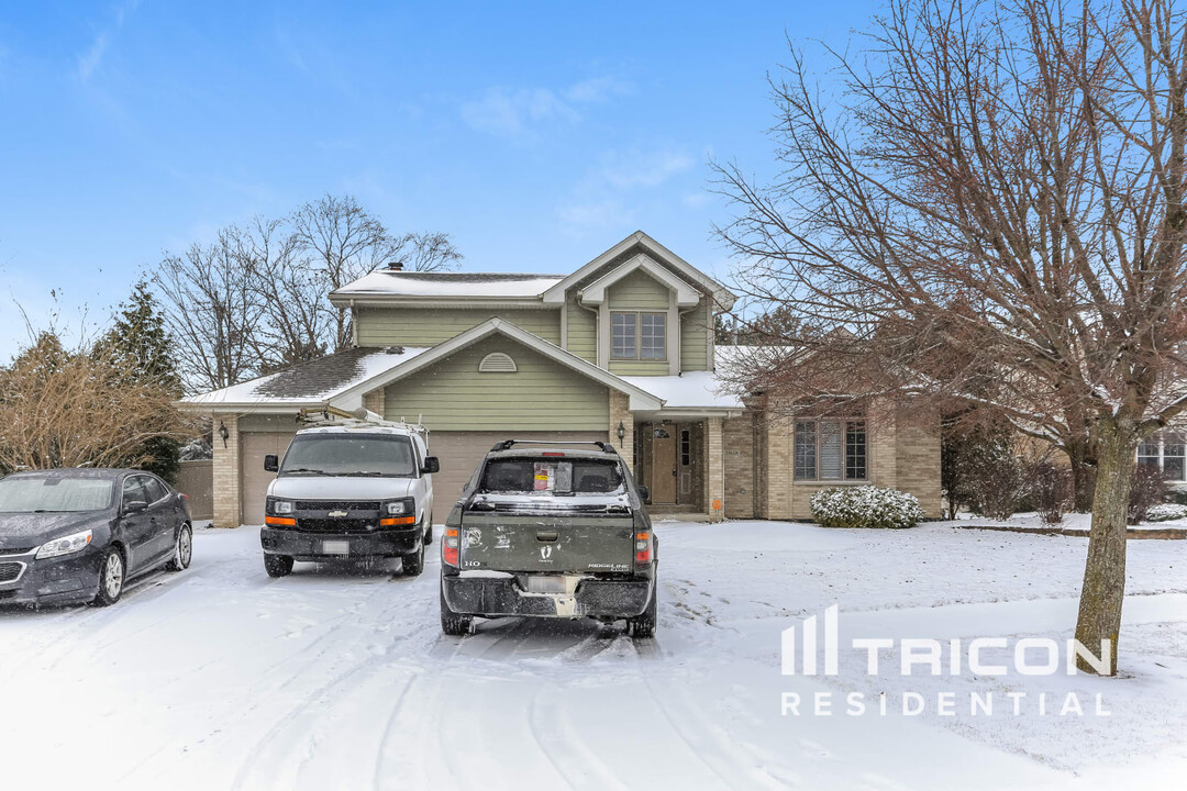 19618 Brookridge Dr in Tinley Park, IL - Building Photo