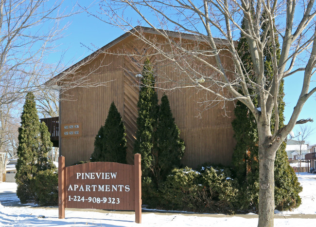 Pineview Apartments in Round Lake, IL - Foto de edificio - Building Photo