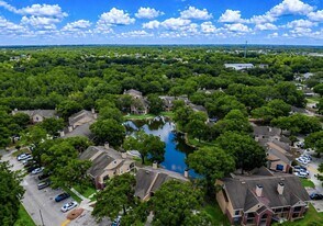 8641 Fancy Finch Dr in Tampa, FL - Building Photo