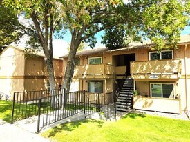3947 Clear Acre Ln in Reno, NV - Building Photo