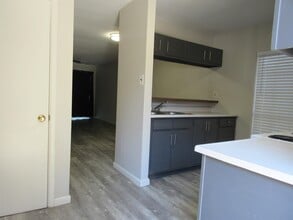 2403 E Frost St in Laredo, TX - Building Photo - Building Photo