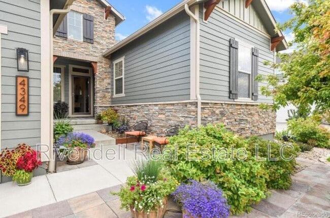 4349 Manorbrier Cir in Castle Rock, CO - Building Photo - Building Photo
