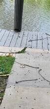 1401 NE 57th Pl in Fort Lauderdale, FL - Building Photo - Building Photo