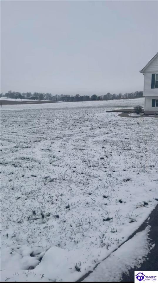 195 Kiersten Ct in Vine Grove, KY - Building Photo - Building Photo