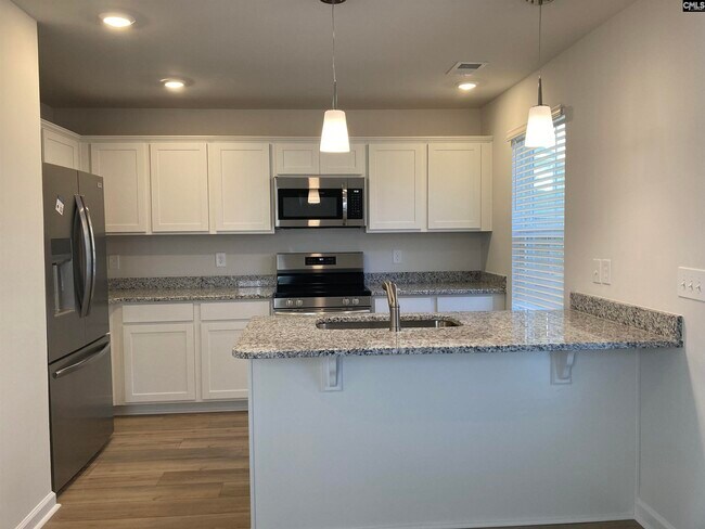 238 Hessary Ln in Lexington, SC - Building Photo - Building Photo